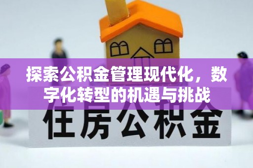 大兴探索公积金管理现代化，数字化转型的机遇与挑战