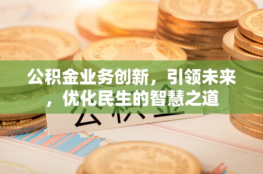 大兴公积金业务创新，引领未来，优化民生的智慧之道