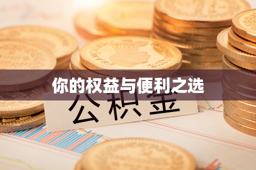 大兴你的权益与便利之选