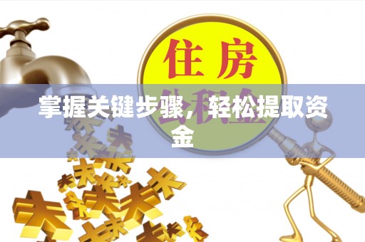 大兴掌握关键步骤，轻松提取资金