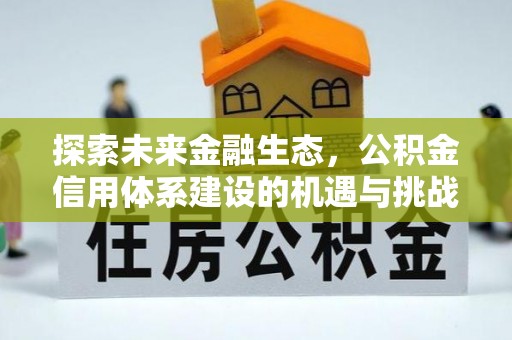 大兴探索未来金融生态，公积金信用体系建设的机遇与挑战