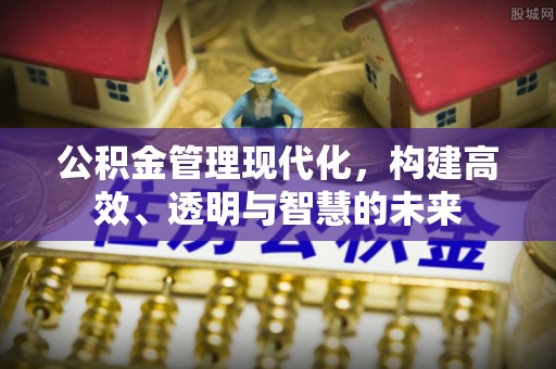 大兴公积金管理现代化，构建高效、透明与智慧的未来