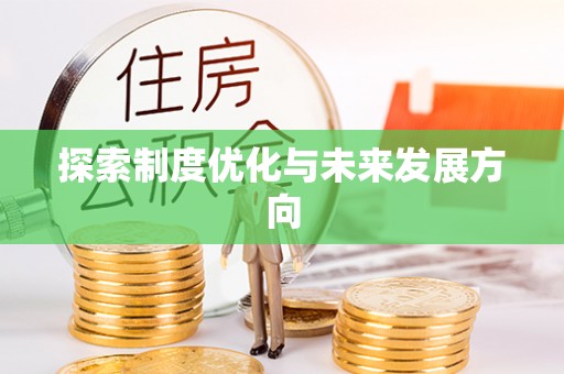 大兴探索制度优化与未来发展方向