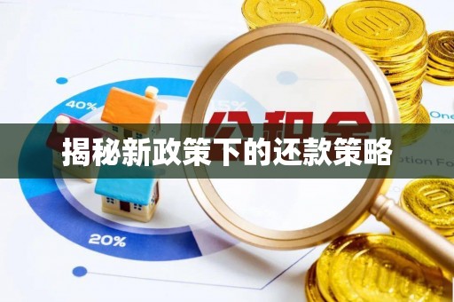 大兴揭秘新政策下的还款策略