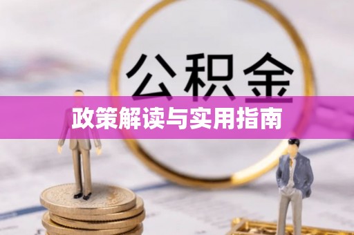 大兴政策解读与实用指南