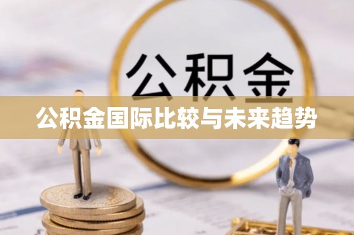大兴公积金国际比较与未来趋势