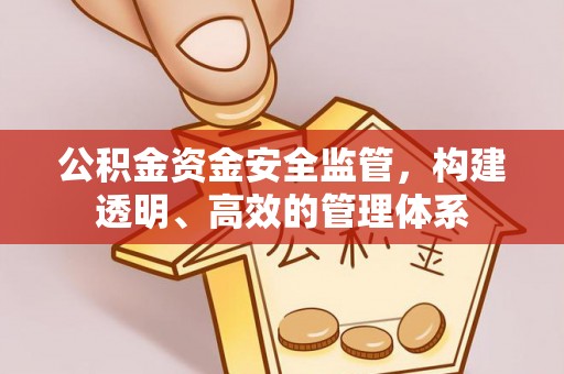 大兴公积金资金安全监管，构建透明、高效的管理体系