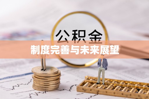大兴制度完善与未来展望
