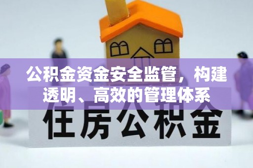 大兴公积金资金安全监管，构建透明、高效的管理体系