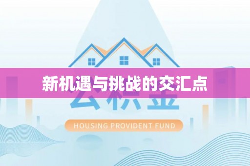 大兴新机遇与挑战的交汇点