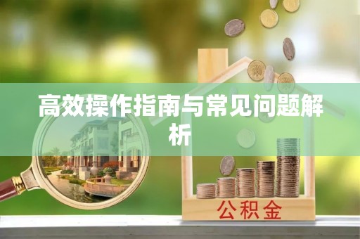 大兴高效操作指南与常见问题解析