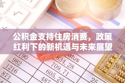 大兴公积金支持住房消费，政策红利下的新机遇与未来展望
