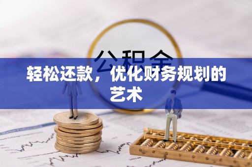 大兴轻松还款，优化财务规划的艺术