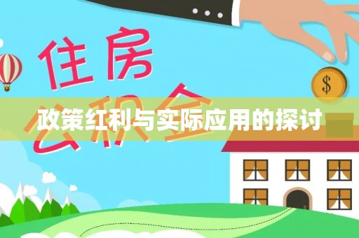 大兴政策红利与实际应用的探讨