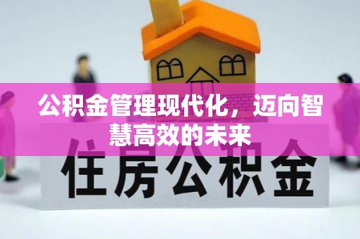 大兴公积金管理现代化，迈向智慧高效的未来