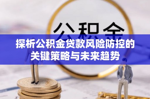 大兴探析公积金贷款风险防控的关键策略与未来趋势