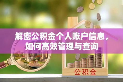 大兴解密公积金个人账户信息，如何高效管理与查询