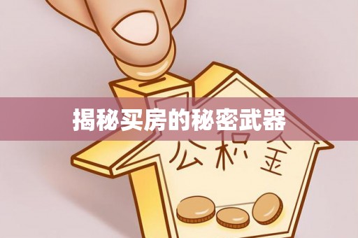 大兴揭秘买房的秘密武器