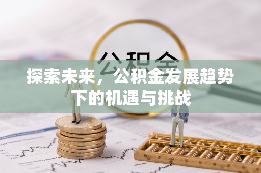 大兴探索未来，公积金发展趋势下的机遇与挑战