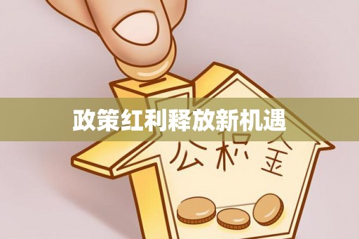 大兴政策红利释放新机遇