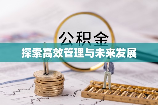 大兴探索高效管理与未来发展