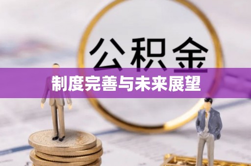 大兴制度完善与未来展望