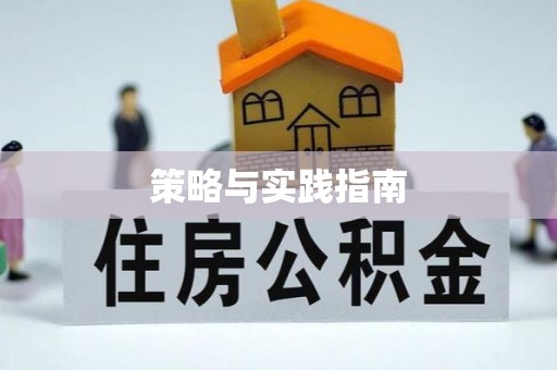 大兴策略与实践指南