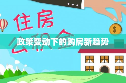大兴政策变动下的购房新趋势