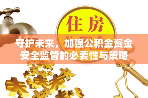 大兴守护未来，加强公积金资金安全监管的必要性与策略