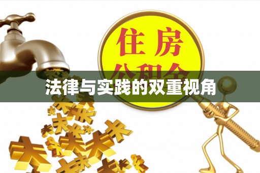大兴法律与实践的双重视角