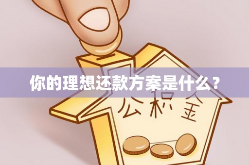 大兴你的理想还款方案是什么？