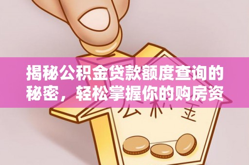 大兴揭秘公积金贷款额度查询的秘密，轻松掌握你的购房资金