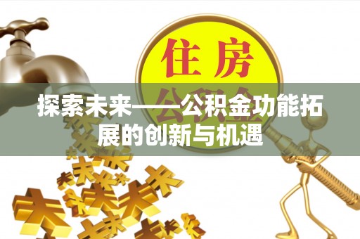 大兴探索未来——公积金功能拓展的创新与机遇
