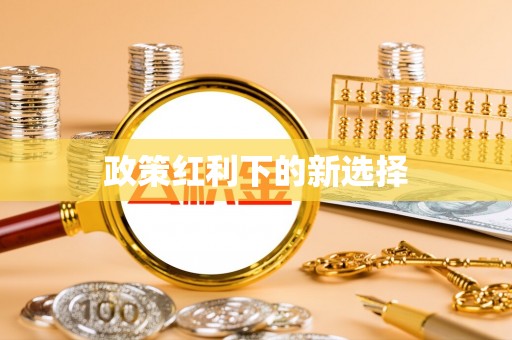 大兴政策红利下的新选择