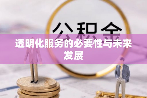 大兴透明化服务的必要性与未来发展
