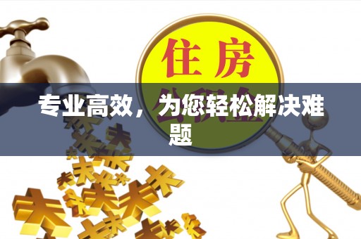 大兴专业高效，为您轻松解决难题