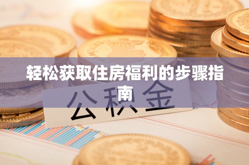 大兴轻松获取住房福利的步骤指南
