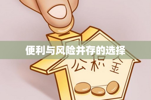 大兴便利与风险并存的选择
