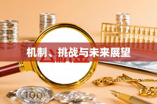 大兴机制、挑战与未来展望