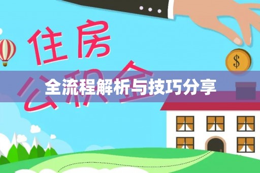 大兴全流程解析与技巧分享