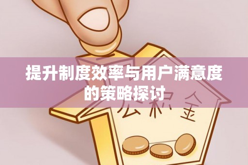 大兴提升制度效率与用户满意度的策略探讨